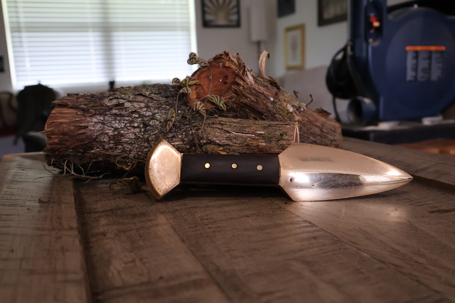 The bronze knife resting against a mossy cut log, blade catching the window light